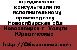 юридические консультации по исполнительному производству - Новосибирская обл., Новосибирск г. Услуги » Юридические   